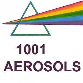 DECOLLE ETIQUETTES AUTO-COLLANTES ET GRAFFITIS 650 ML - 1001 Aerosols